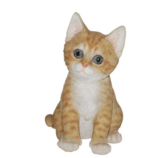Riviera - Chaton assis roux 20 cm