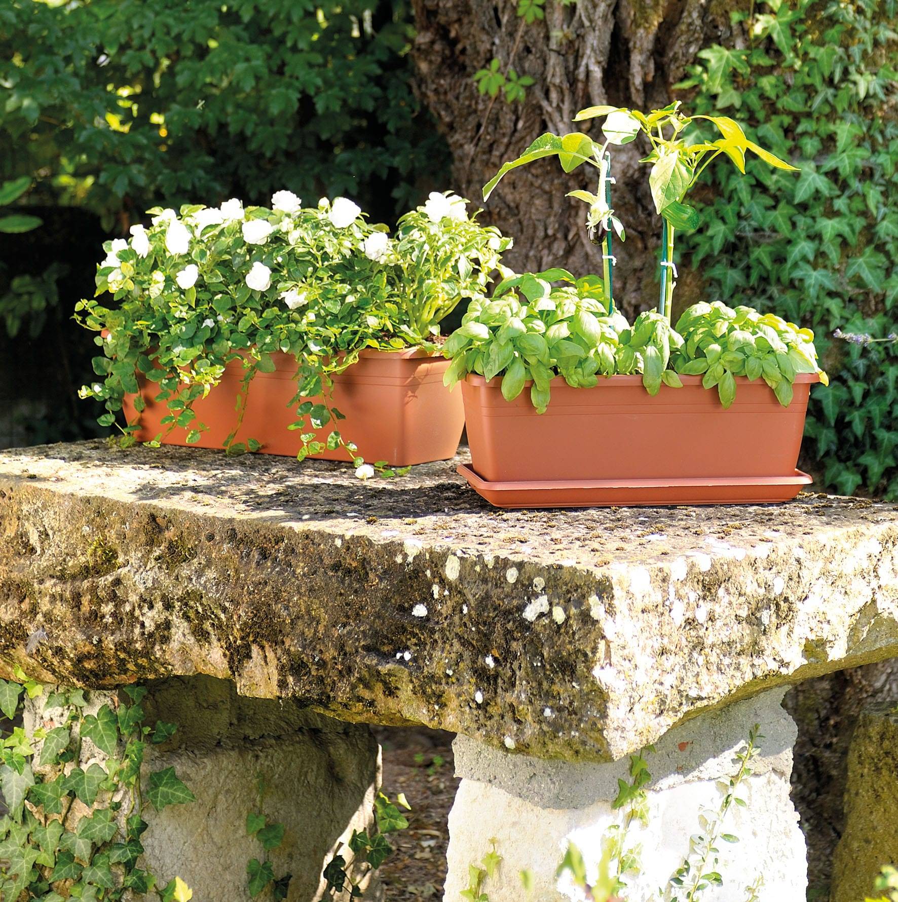 Deroma - Plateau Kyoto terre 60cm - L.58 x l.18 x H.3,2 cm - Image 3