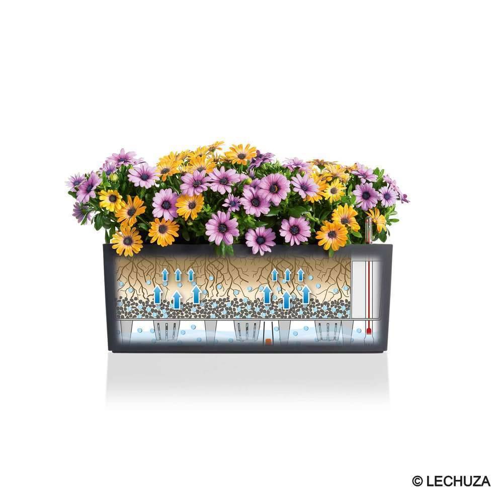 Lechuza - Jardinière Balconera Trend L.50 x l.19 x H.19 cm - Image 12