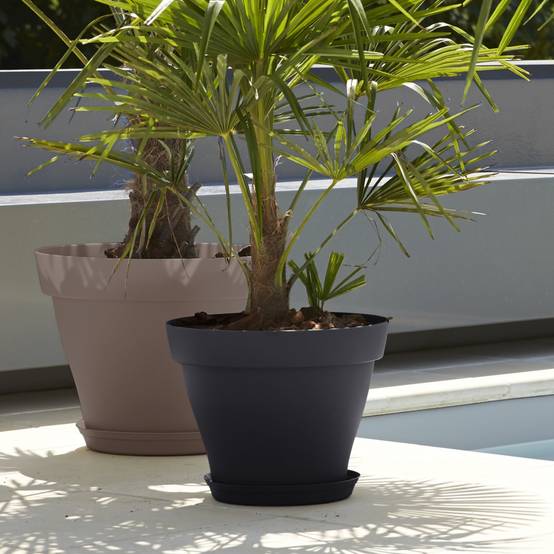 Poétic - Soucoupe pot Roméo - POETIC - Image 2