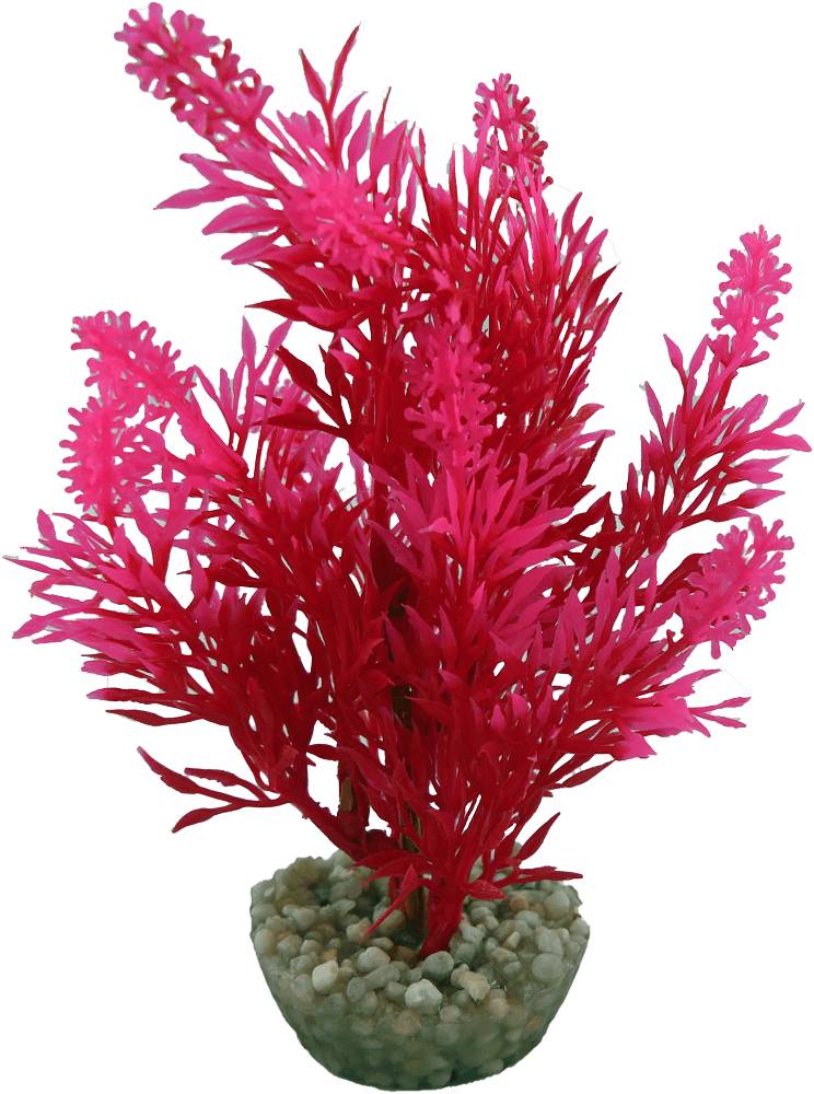 Labéo - Plante Artificielle Aquarium Plastique Vert - LABEO - Image 5