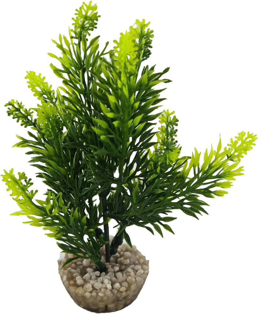 Labéo - Plante Artificielle Aquarium Plastique Vert - LABEO - Imagen 10