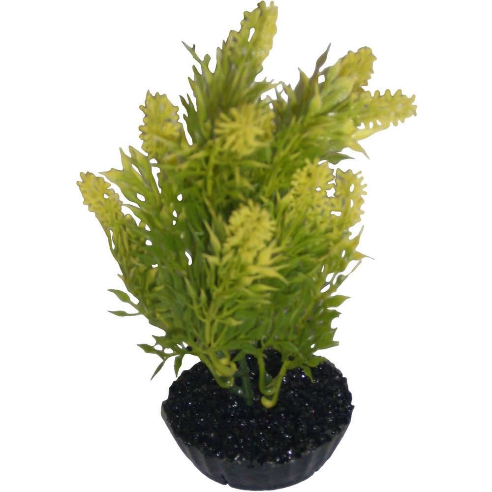 Labéo - Plante Artificielle Aquarium Plastique Vert - LABEO - Imagen 11