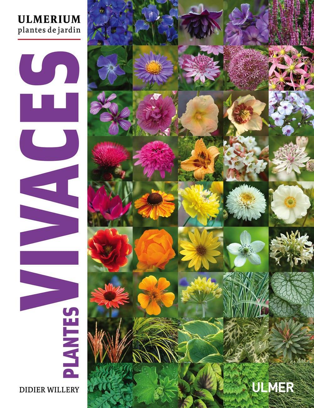 Ulmer - Plantes vivaces