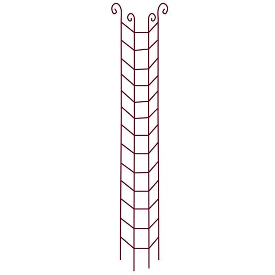 Vitis - Colonne Rosier Grimpant Volute - GPT - Image 3