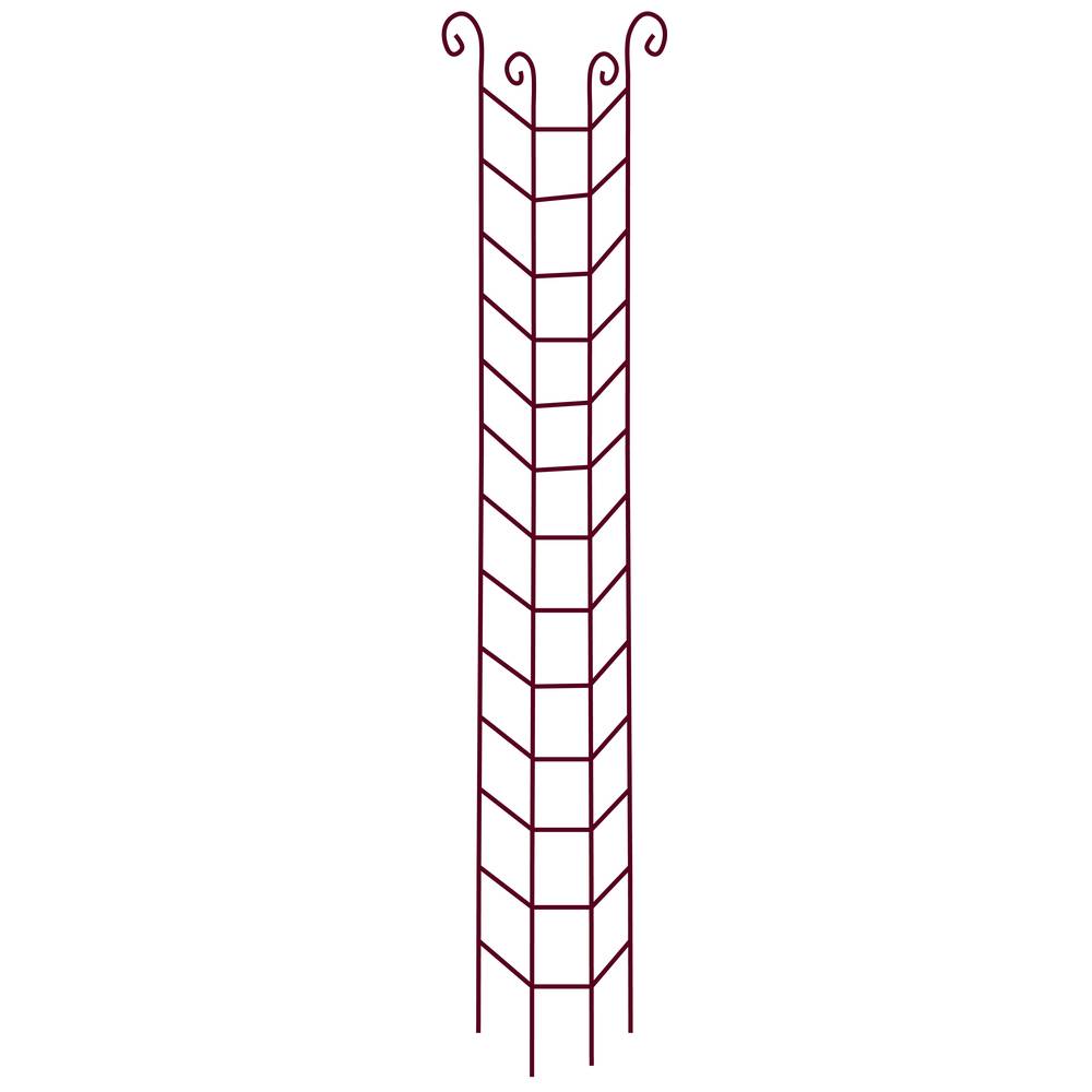 Vitis - Colonne Rosier Grimpant Volute - GPT - Imagen 3