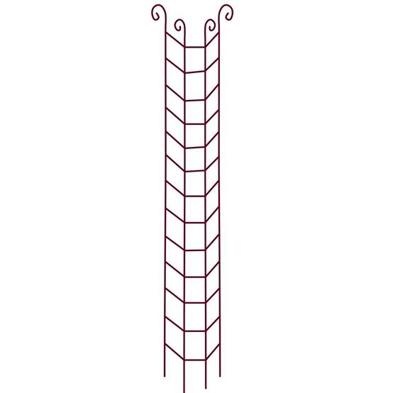 Vitis - Colonne Rosier Grimpant Volute - GPT - Image 2