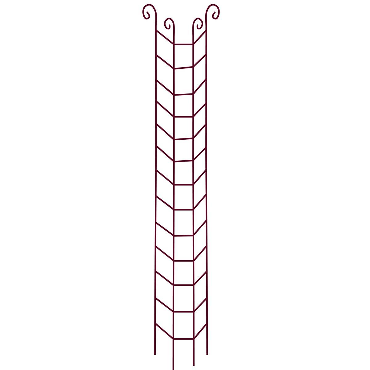 Vitis - Colonne Rosier Grimpant Volute - GPT - Imagen 2