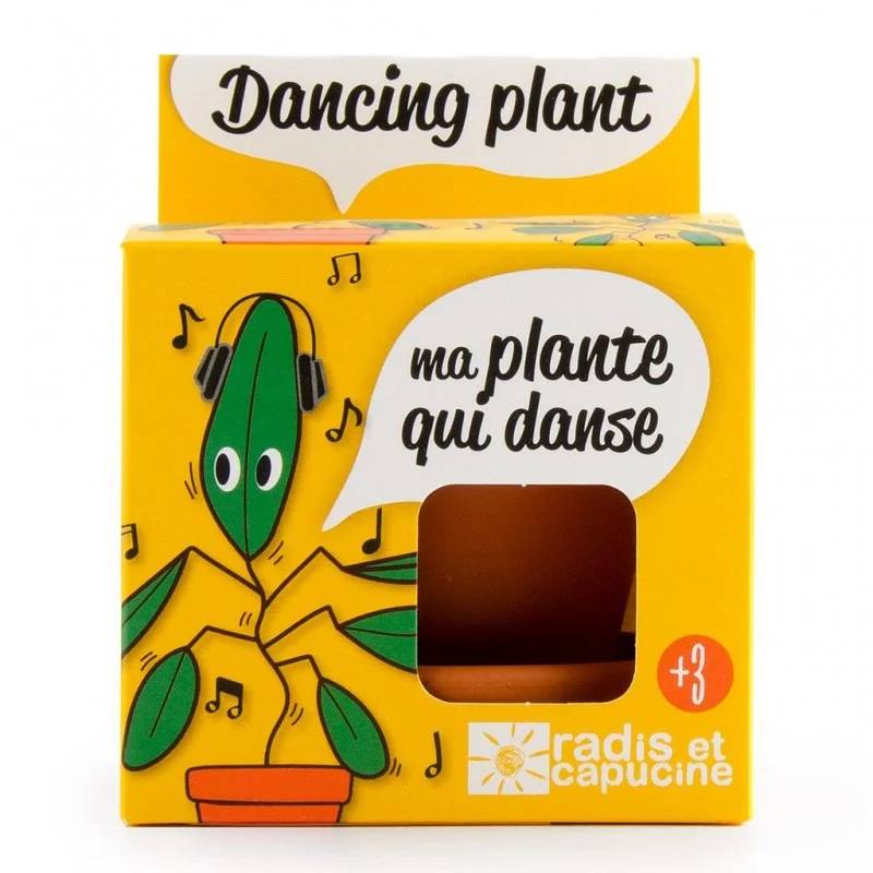 Radis et Capucine - Pot de 8 cm avec coupelle "Plante qui danse" - RADIS ET CAPUCINE - Image 3