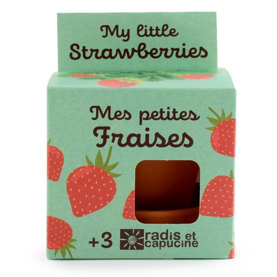 Radis et Capucine - Pot 8 cm avec coupelle Fraisier - Radis et Capucine - Image 1