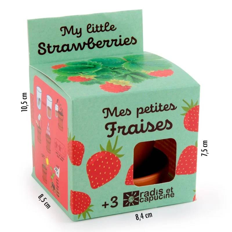 Radis et Capucine - Pot 8 cm avec coupelle Fraisier - Radis et Capucine - Image 5