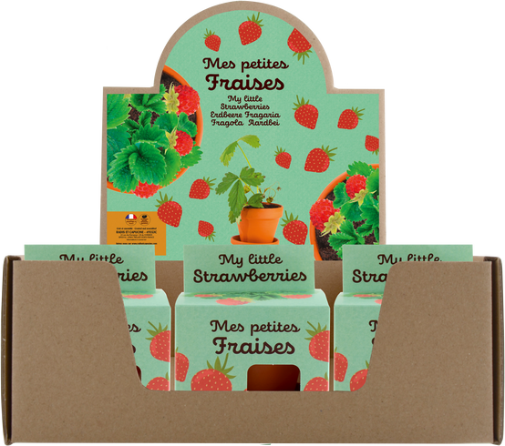 Radis et Capucine - Pot 8 cm avec coupelle Fraisier - Radis et Capucine - Image 1