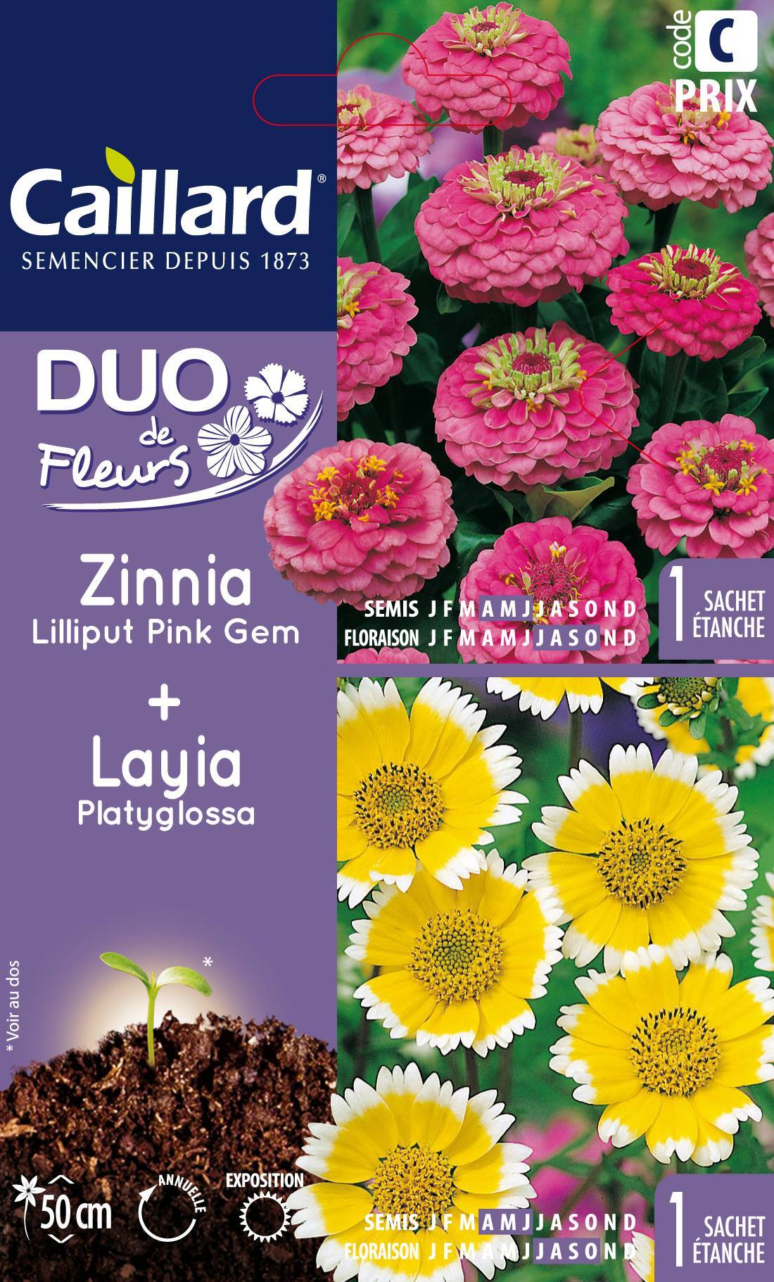 Caillard - Graines de Duo de fleurs Zinnia Pink Gem + Layia platyglossa