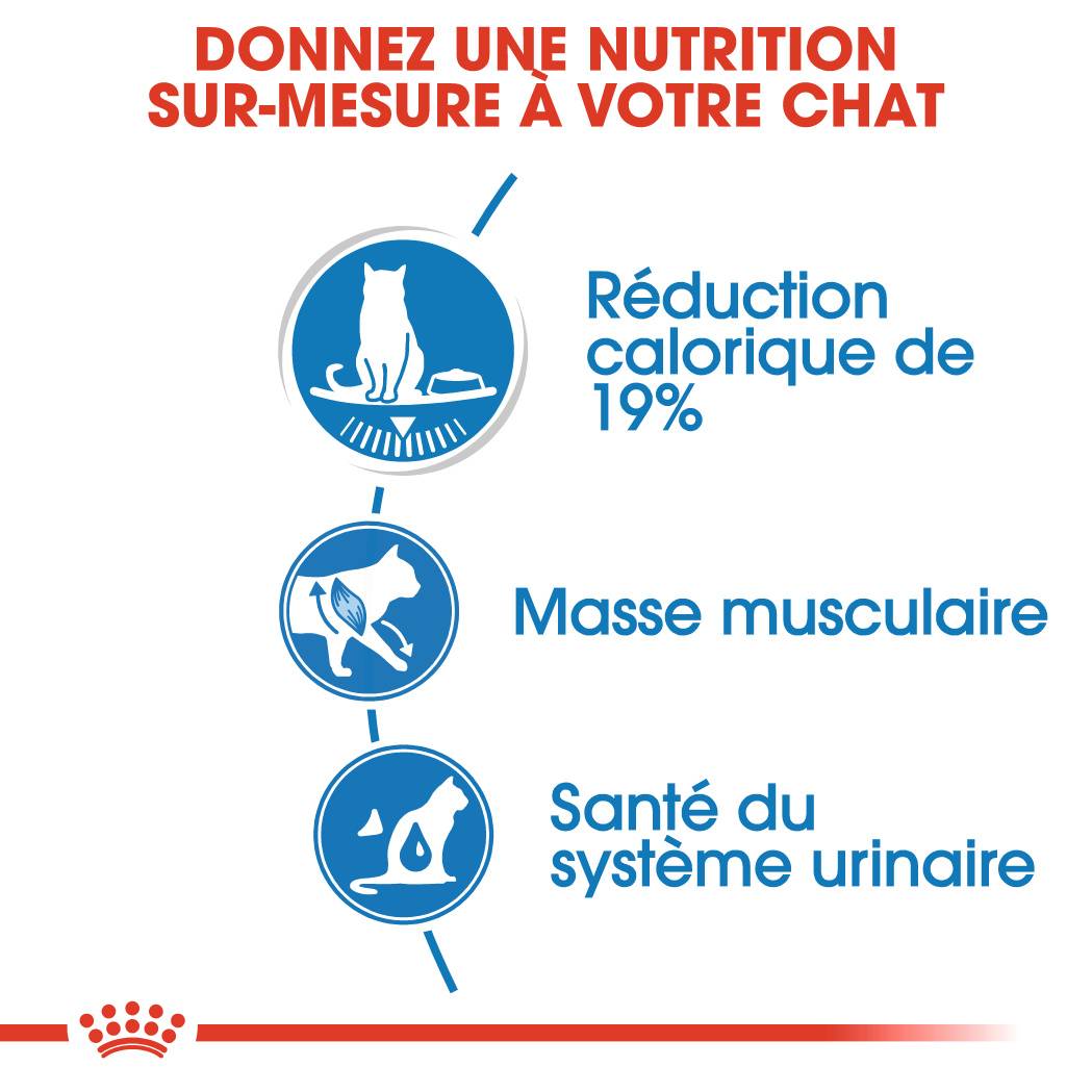 Royal Canin - Royal Canin - Gelée pour chat Ultra light 85 g - Image 5