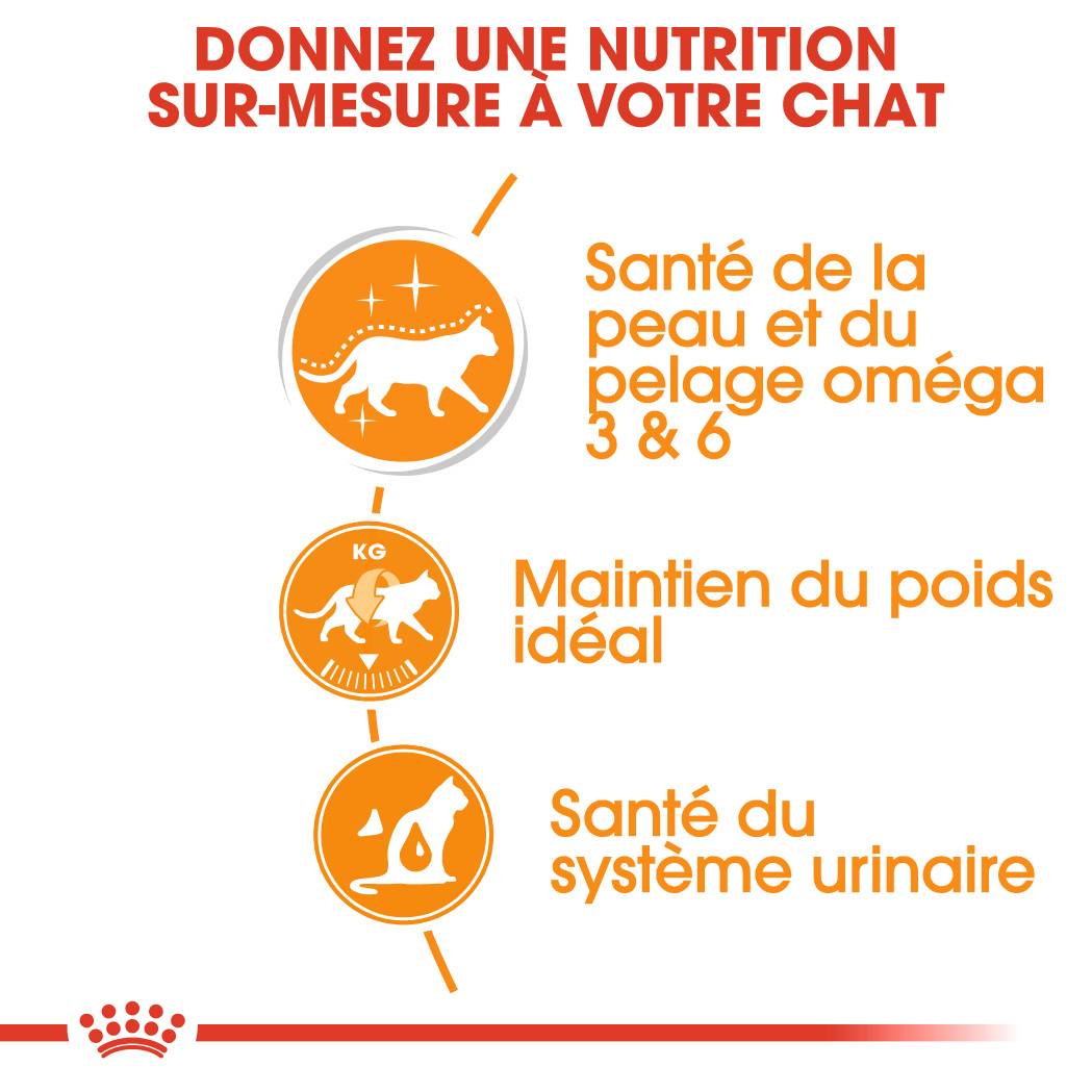 Royal Canin - Royal Canin - Sachets en gelée Intense Beauty pour chat 85 g - Image 5