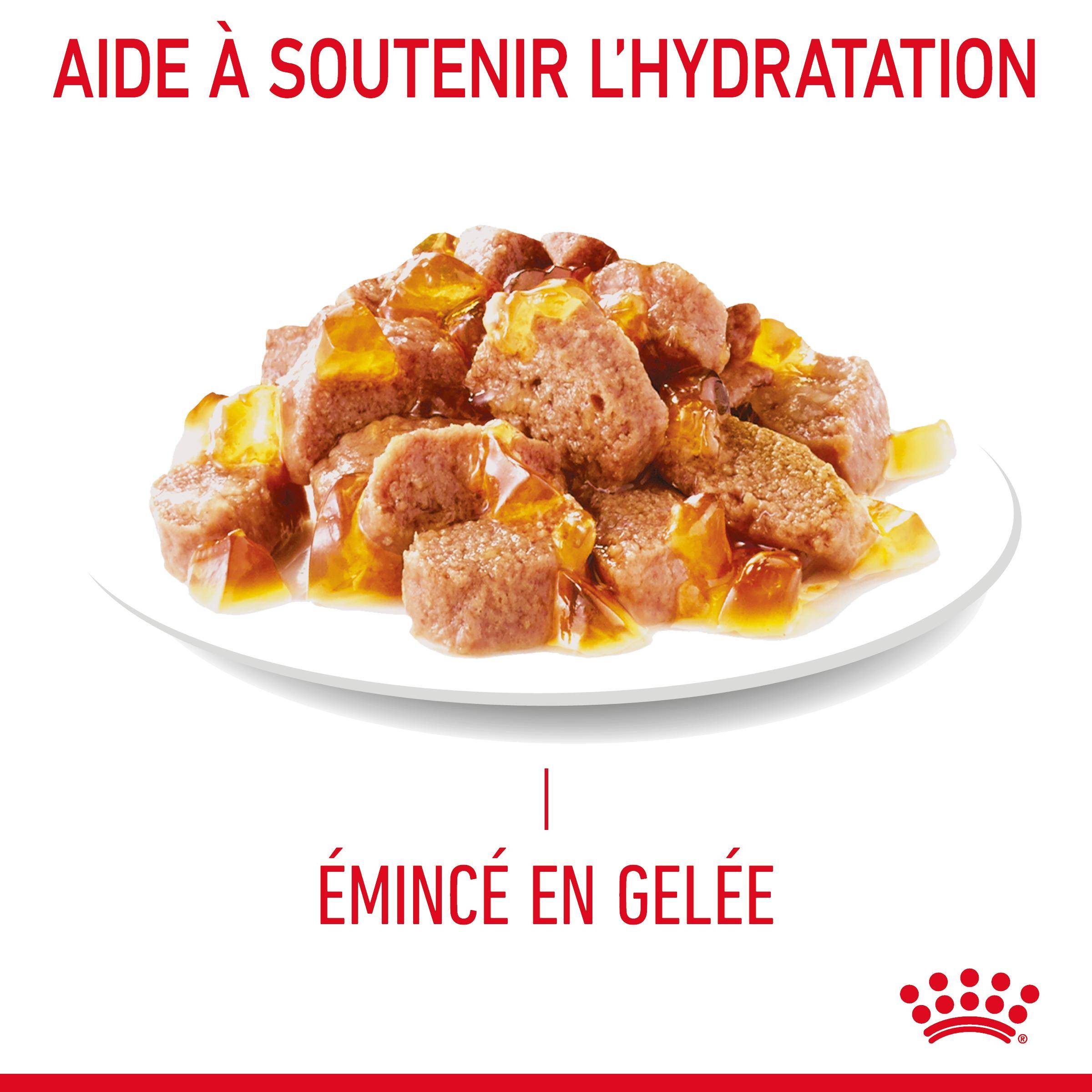 Royal Canin - Royal Canin - Sachets en gelée Intense Beauty pour chat 85 g - Image 13