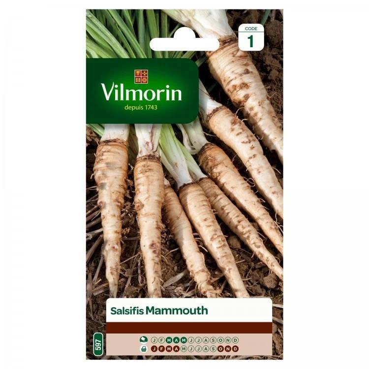 Vilmorin - Salsifis mammouth série 1 sachet graines 5 g - Vilmorin - Image 1