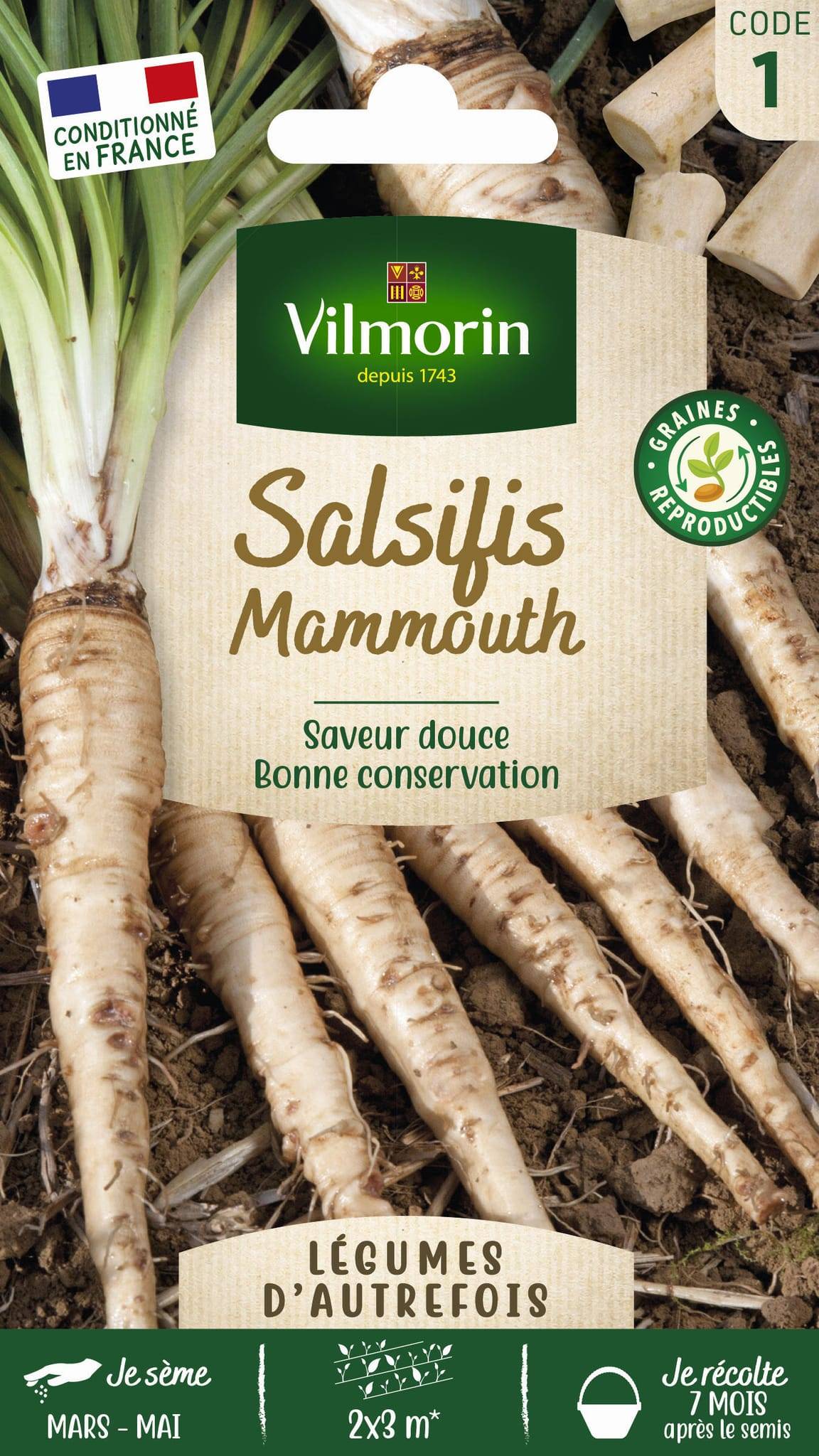 Vilmorin - Salsifis mammouth série 1 sachet graines 5 g - Vilmorin - Image 2