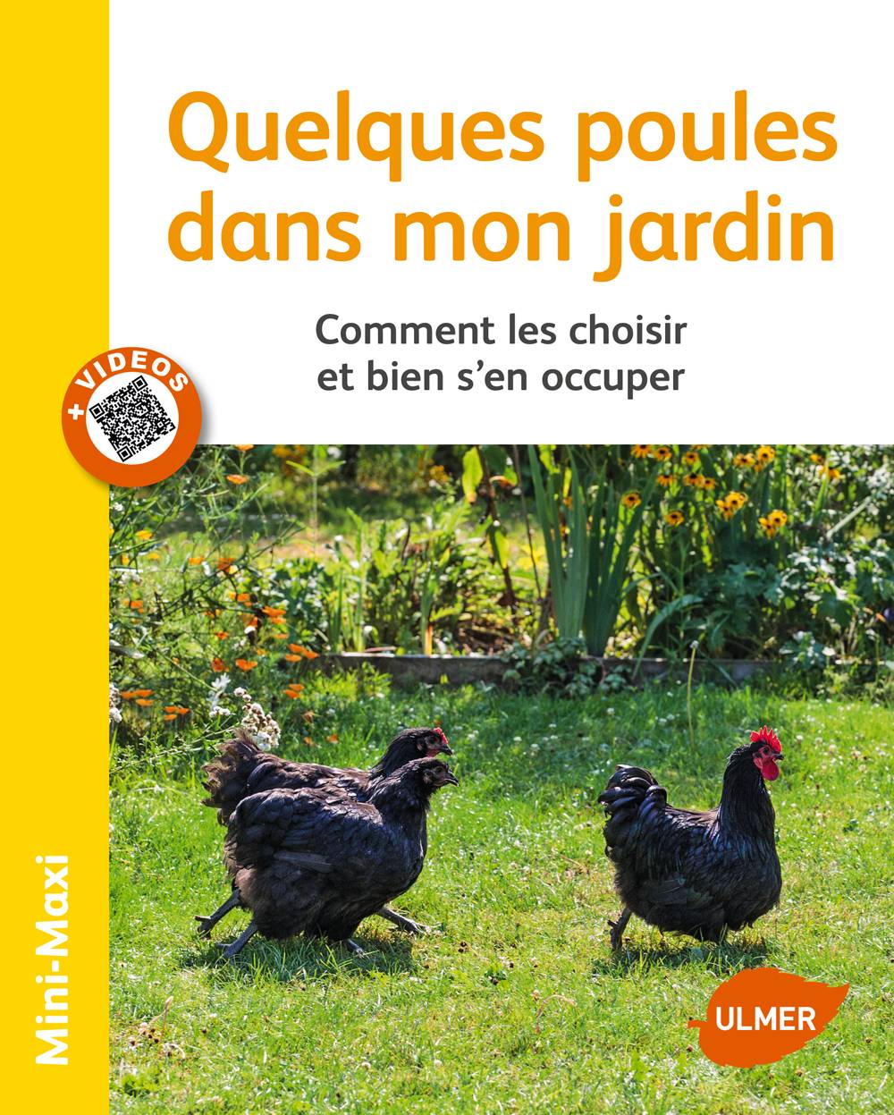 Ulmer - Quelques poules dans mon jardin