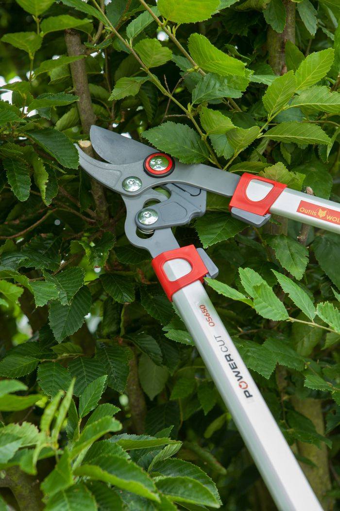 Outils Wolf - Élagueur confort à coupe franche 40 mm Powercut L.65 cm - Outils Wolf - Image 3
