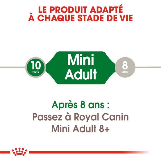 Royal Canin - Croquettes Chien Adulte Petit - ROYAL CANIN - Image 6