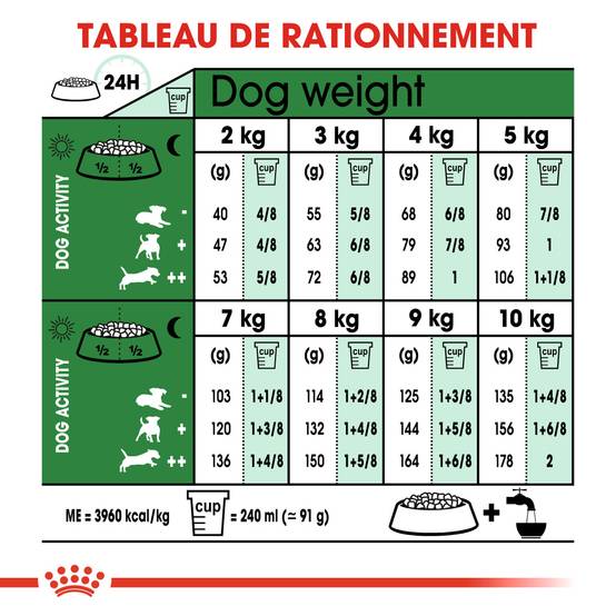 Royal Canin - Croquettes Chien Adulte Petit - ROYAL CANIN - Image 2