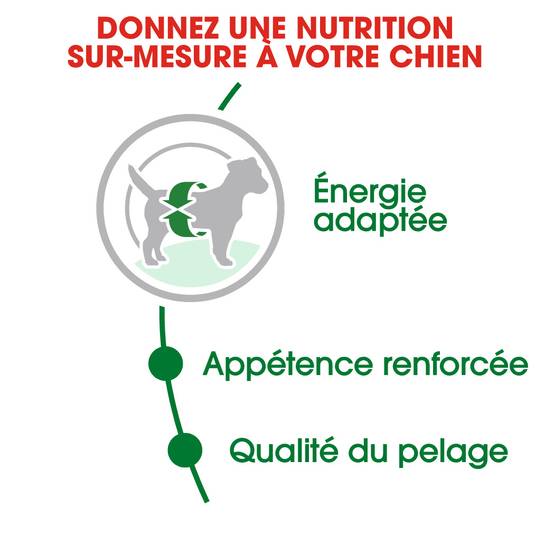 Royal Canin - Croquettes Chien Adulte Petit - ROYAL CANIN - Image 4