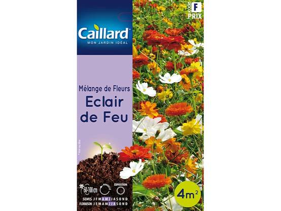 Fleur Eclair Mélange De Fleurs Eclair De Feu Graines - CAILLARD - Jardiland