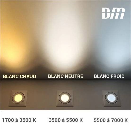 Blachere Illumination - Guirlande Flicker Light avec 288 LEDS multicolores L.25 m - Image 8