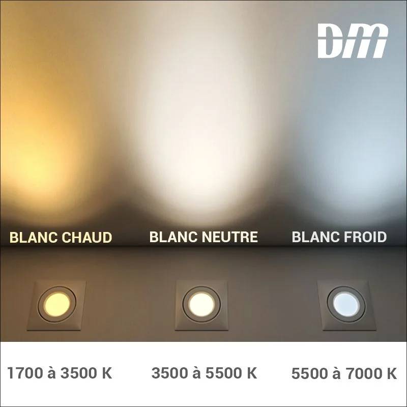 Blachere Illumination - Guirlande Flicker Light avec 288 LEDS multicolores L.25 m - Image 8