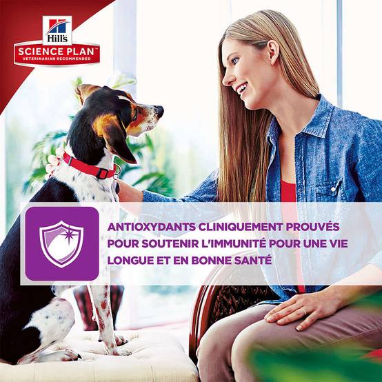 Hill's Pet Nut - Croquettes pour Chien Senior 11+ Small & Miniature Poulet 1,5kg - Science Plan Hill's - Image 2