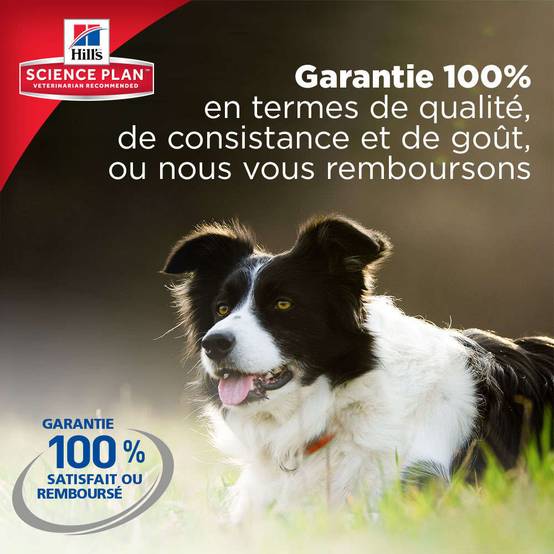 Hill's Pet Nut - Croquettes pour Chien Senior 11+ Small & Miniature Poulet 1,5kg - Science Plan Hill's - Image 4