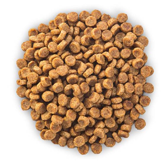 Hill's Pet Nut - Croquettes pour Chien Senior 11+ Small & Miniature Poulet 1,5kg - Science Plan Hill's - Image 5