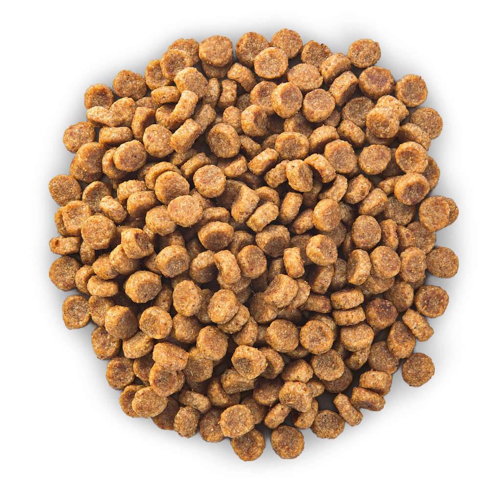 Hill's Pet Nut - Croquettes pour Chien Senior 11+ Small & Miniature Poulet 1,5kg - Science Plan Hill's - Image 5