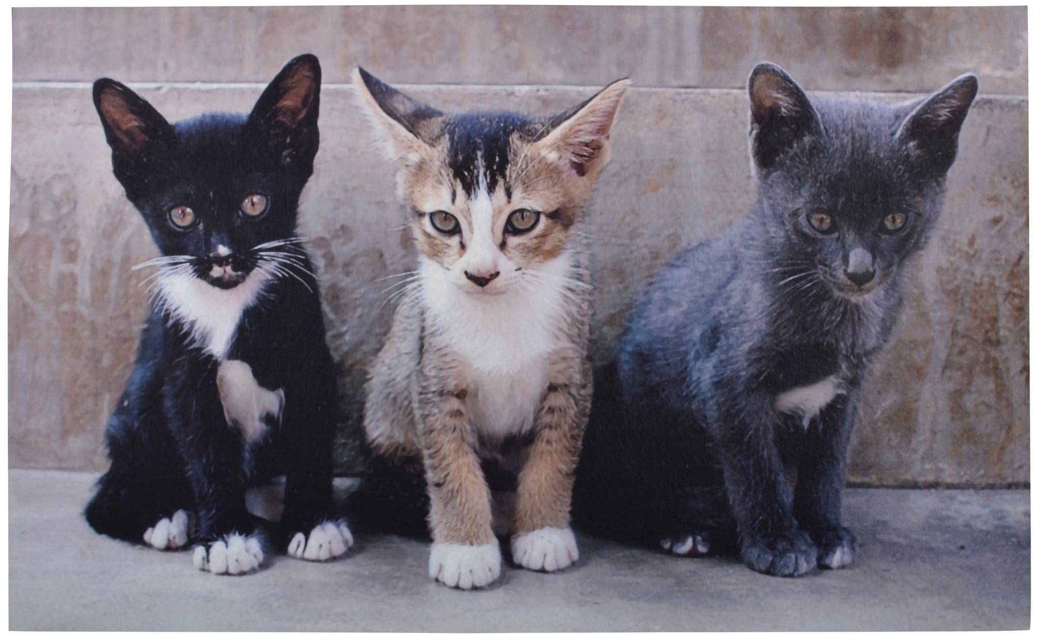 Felpudo decorativo granulado de caucho Gatitos Esschert Design - Imagen 1