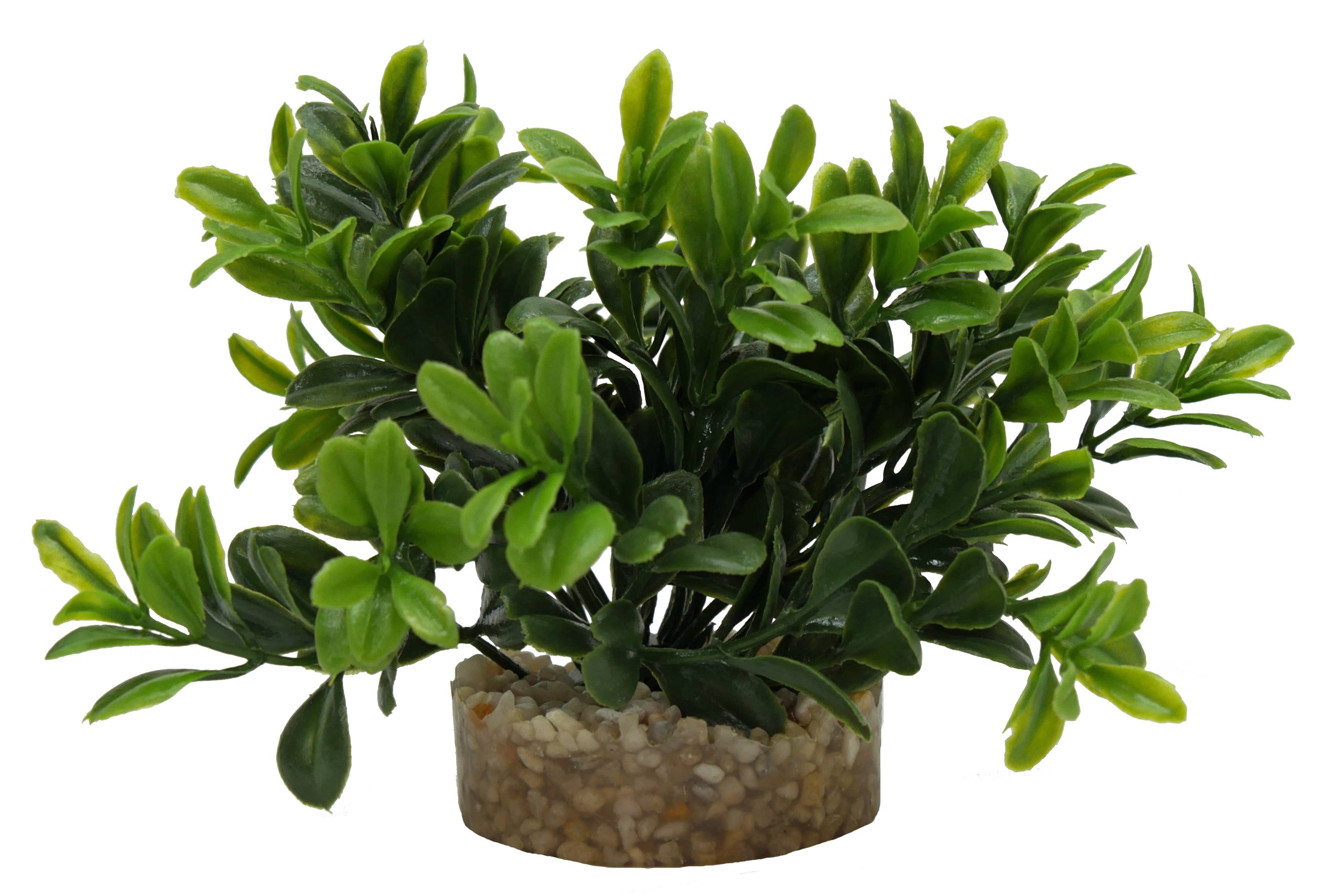 Labéo - Plante artificielle massif rond vert - H.11 cm - Labéo