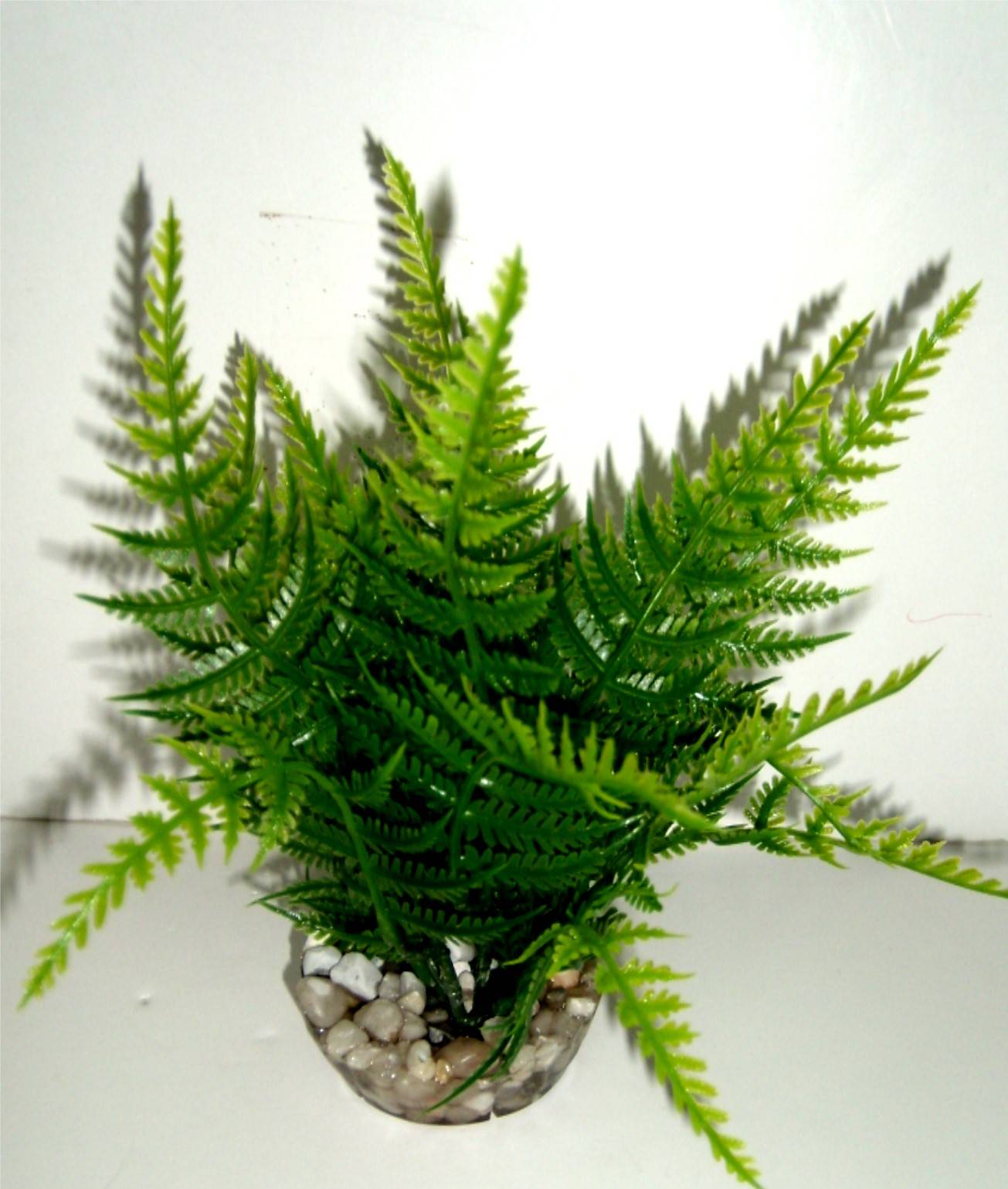 Labéo - Labéo - Decoración Helecho artificial L.25 x l.15 x H.55 cm - Imagen 1