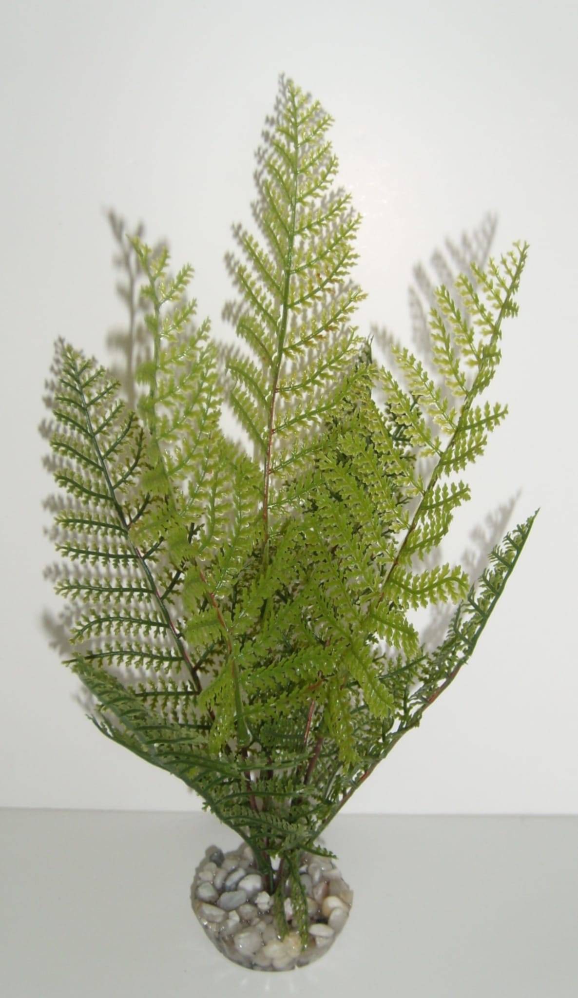 Labéo - Labéo - Decoración Helecho artificial L.25 x l.15 x H.55 cm - Imagen 3