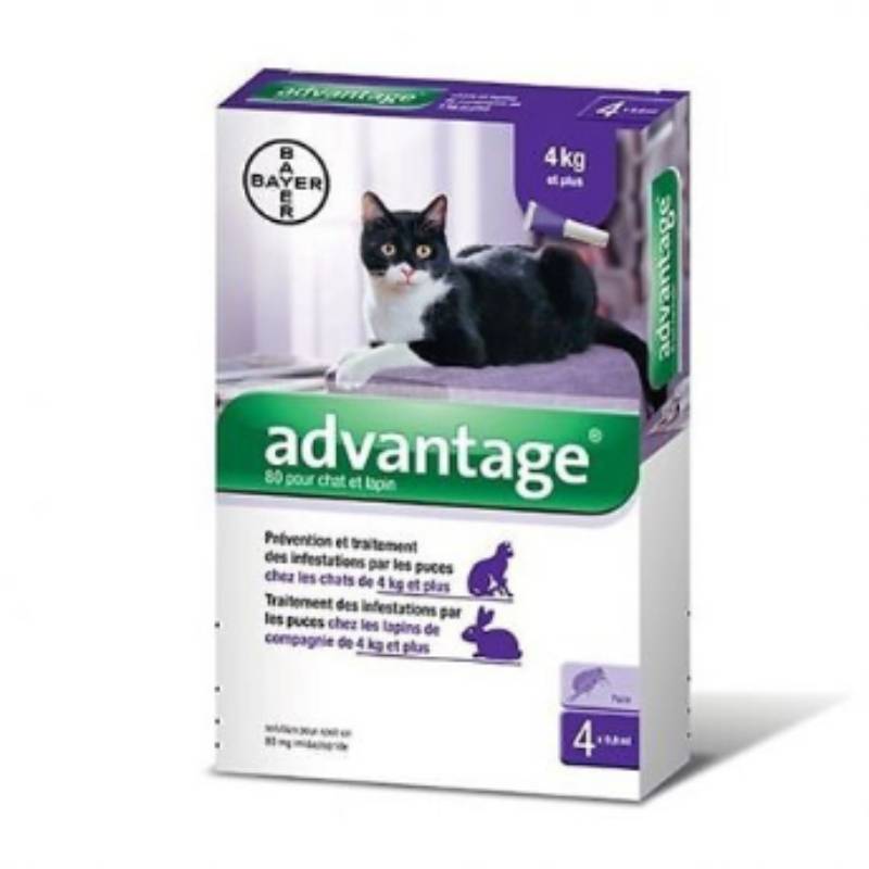 Antiparasitaire Externe Chats Lapins - ADVANTAGE - Imagen 5