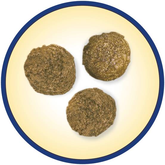 Dog Chow - Croquettes chien Poulet 14 kg - DOG CHOW - Image 3