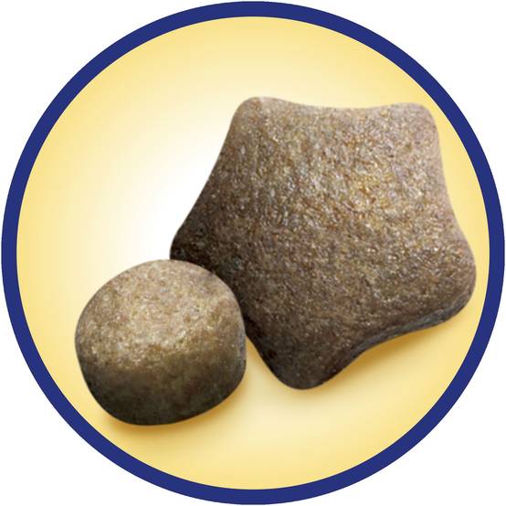 Dog Chow - Croquettes chien Poulet 14 kg - DOG CHOW - Image 6