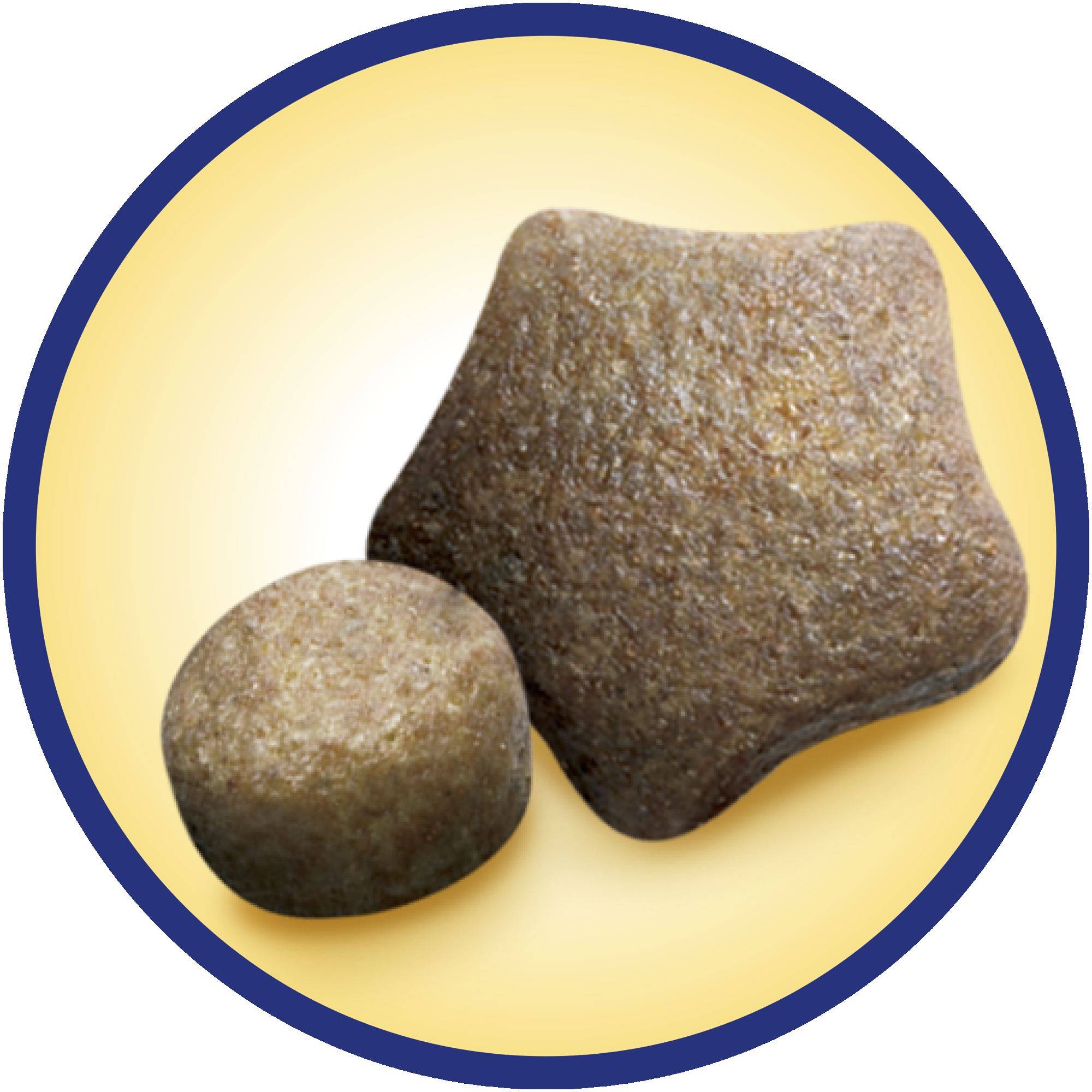 Dog Chow - Croquettes chien Poulet 14 kg  - DOG CHOW - Image 6