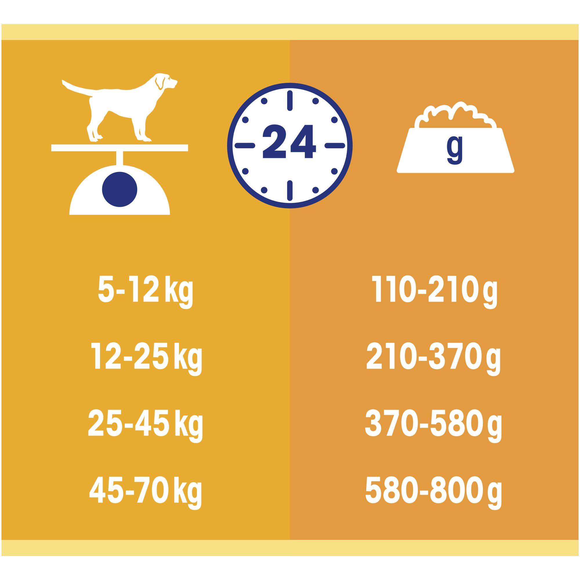 Dog Chow - Croquettes chien Poulet 14 kg  - DOG CHOW - Image 2
