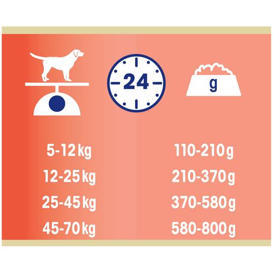 Dog Chow - Croquettes Dog Chow Chien Adulte Sensitive Saumon - 14 kg - Image 3