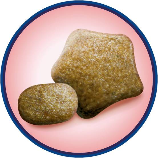 Dog Chow - Croquettes Dog Chow Chien Adulte Sensitive Saumon - 14 kg - Image 2