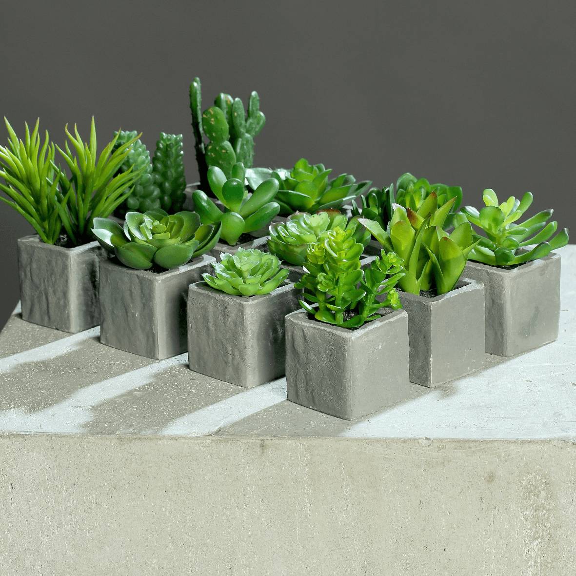 DPI - Mini-succulente artificielle en pot ciment H. 7-12 cm