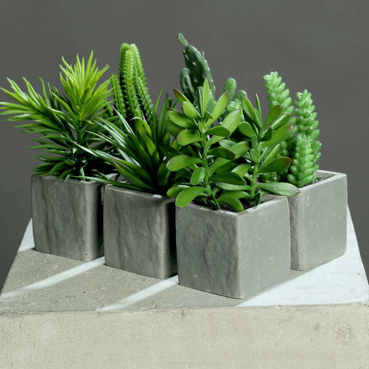DPI - Succulente artificielle assortiment en pot ciment H. 14-20 cm
