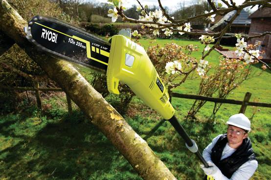 Ryobi - Elagueur électrique sur perche RYOBI - Image 5