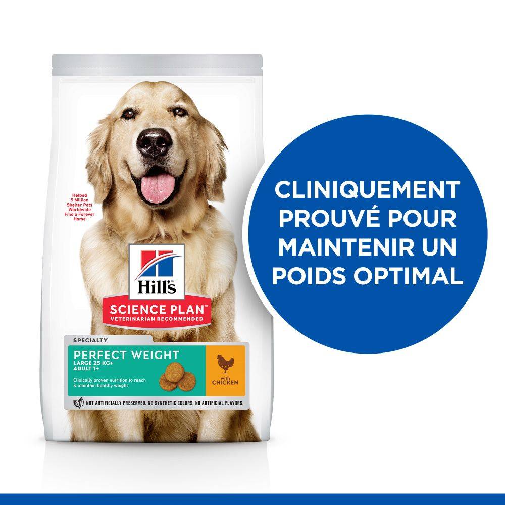 Science plan - Croquetas para perro adulto Perfect Weight Large Breed con pollo 12 kg - Science Plan Hill's - Imagen 3