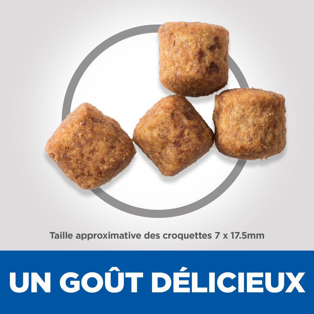 Science plan - Croquetas para perro adulto Perfect Weight Large Breed con pollo 12 kg - Science Plan Hill's - Imagen 2
